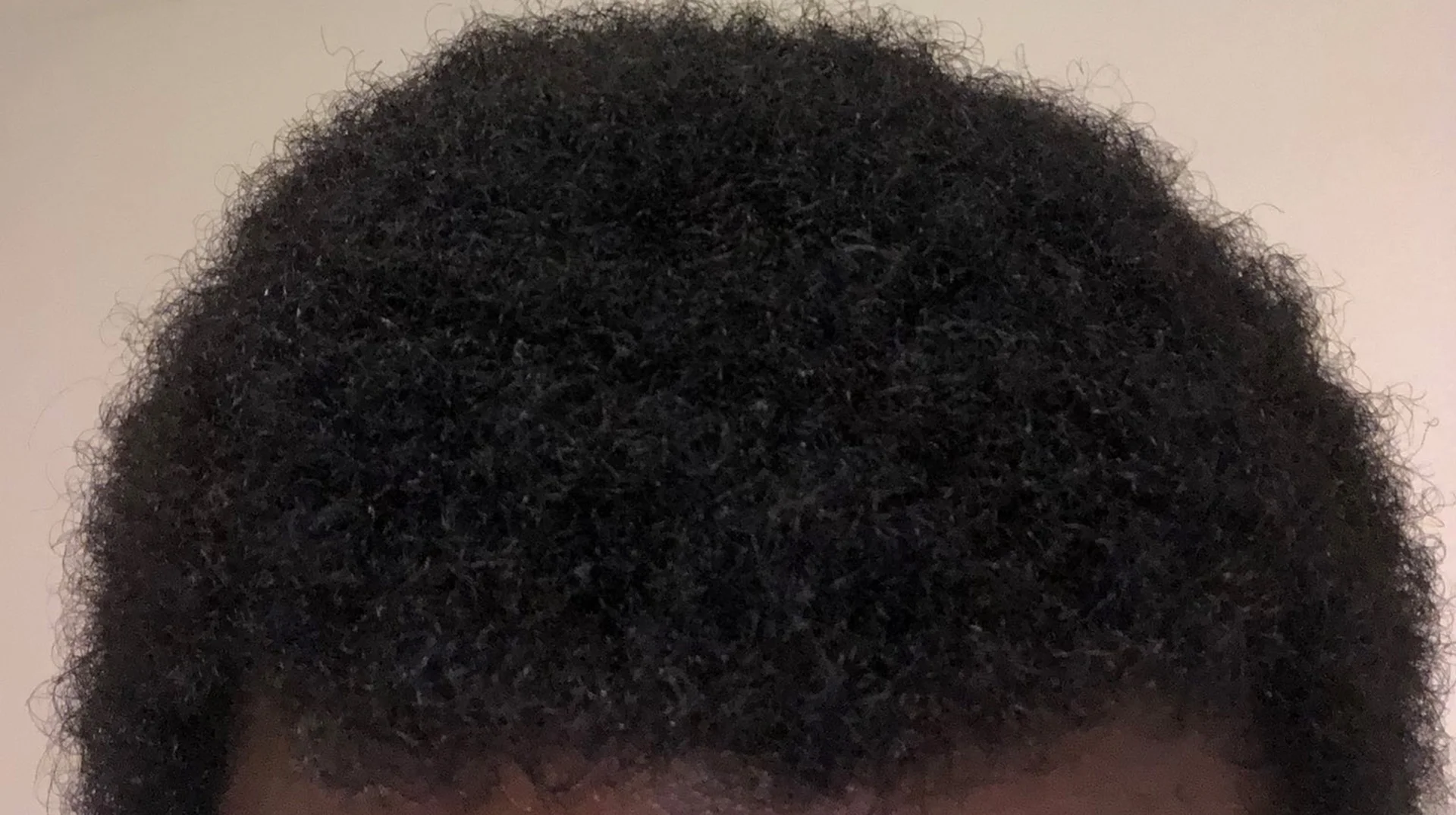 Good At Smash Bros Afro — Close-up of a short curly black afro hairstyle on a person's head