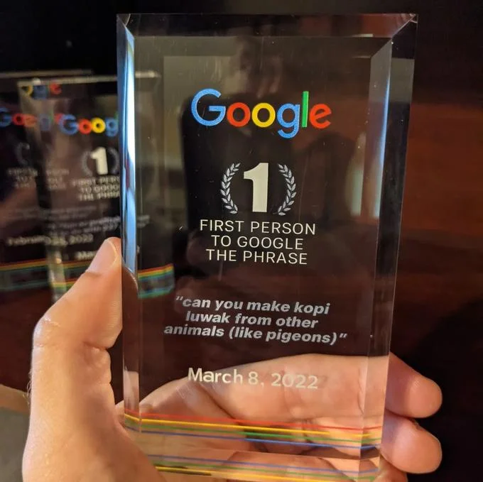 Google First Search Award — Google 'First Person to Google the Phrase' crystal award with text about making kopi luwak from pigeons, dated March 8, 2022.