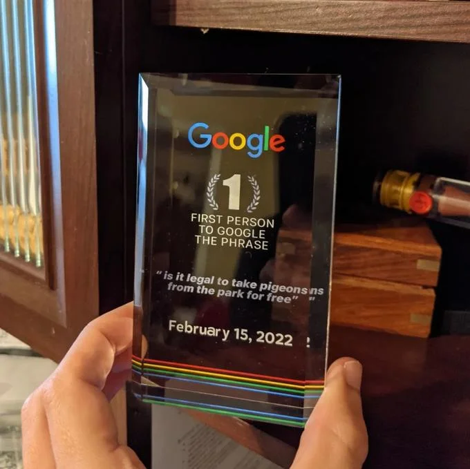 Google First Search Award — Hand holding a Google-branded crystal award about googling pigeon legality, dated February 15, 2022.