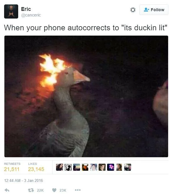 Goose On Fire Fire Duck — Tweet screenshot with goose on fire image and 'ducking lit' autocorrect joke
