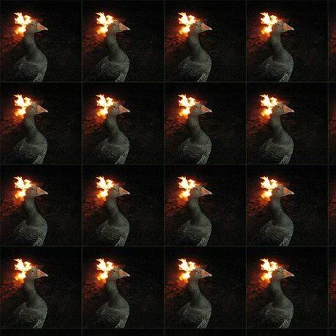 Goose On Fire Fire Duck — Grid of sixteen tiled goose on fire images