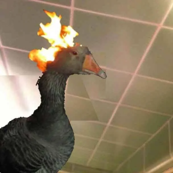 Goose On Fire Fire Duck — Flaming goose photoshopped under an office ceiling with fluorescent lights