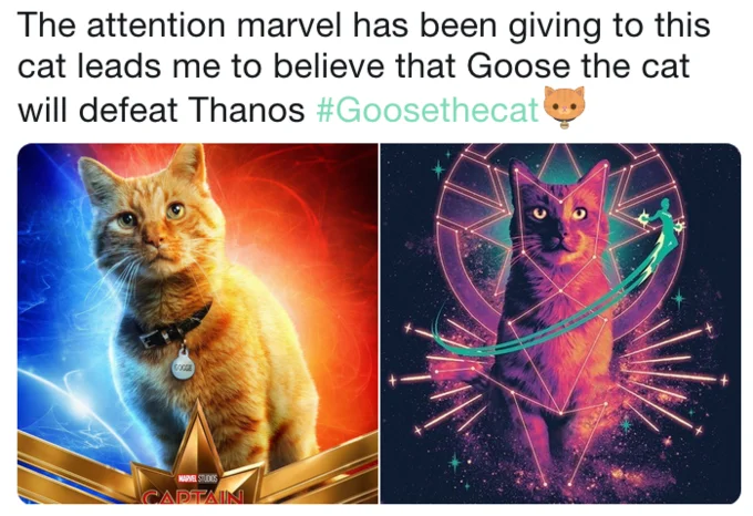 Tweet claiming Goose the cat will defeat Thanos, with poster and cosmic fan art