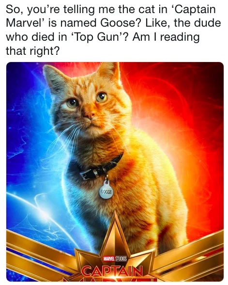 Tweet comparing Goose the cat to the Top Gun character with Captain Marvel poster