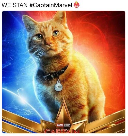 Tweet with Goose the cat Captain Marvel character poster