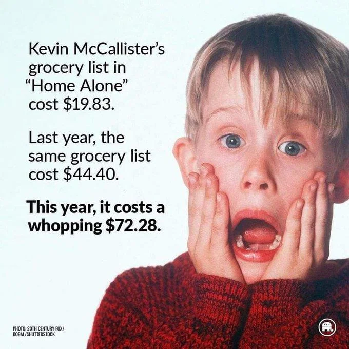 Grocery Store Prices — Home Alone child shocked face with grocery price inflation from $19.83 to $72.28