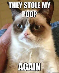 Grumpy Cat macro with crude text 'They Stole My Poop Again.'