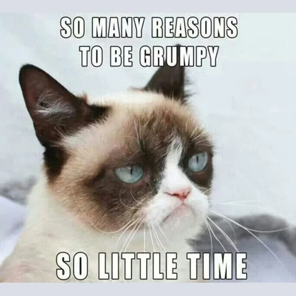 Grumpy Cat image macro about countless reasons to be grumpy but limited time.