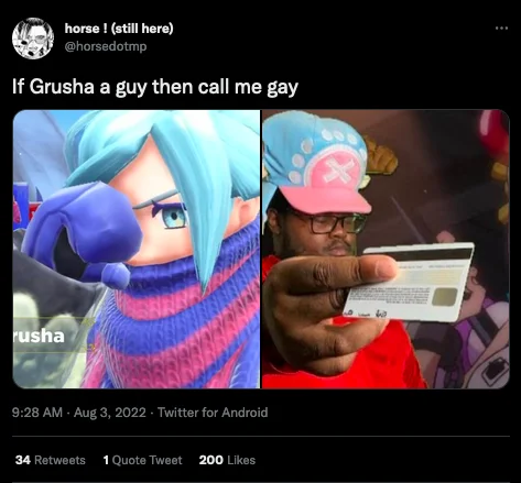 Edited Grusha bio card showing Gru from Despicable Me instead