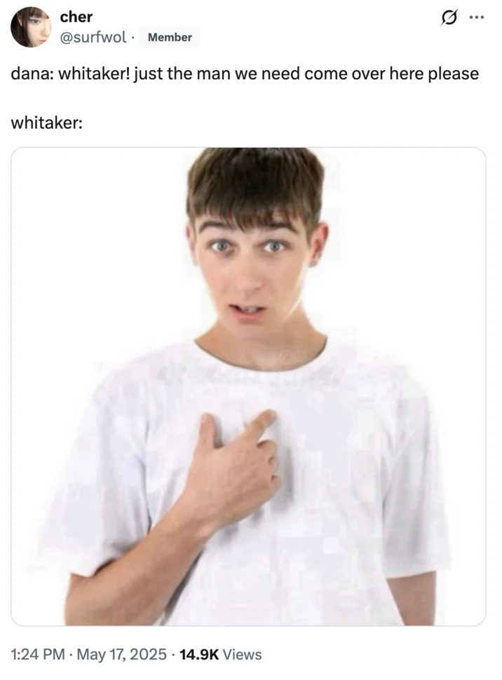 Guy Pointing At Himself — Twitter post with Whitaker joke using pointing guy meme