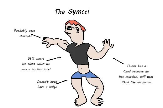 Illustrated diagram of cartoon character labeled 'The Gymcel' with humorous annotations about steroids and Chad status.