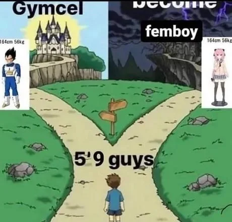 Colorful cartoon meme showing Gymcel transformation alongside alternative life paths like becoming femboy.
