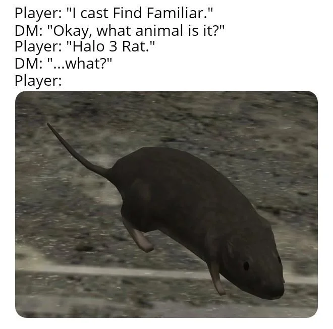 A Dungeons & Dragons themed meme riffing on the 'Find Familiar' spell with the Halo 3 rat as a wizard's familiar.