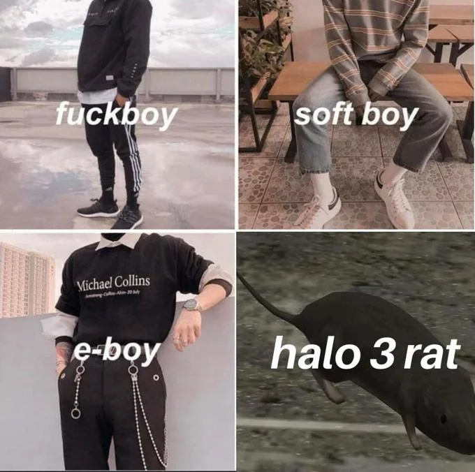 A four-panel classification meme ranking personality archetypes, with the Halo 3 rat as the final categorization.