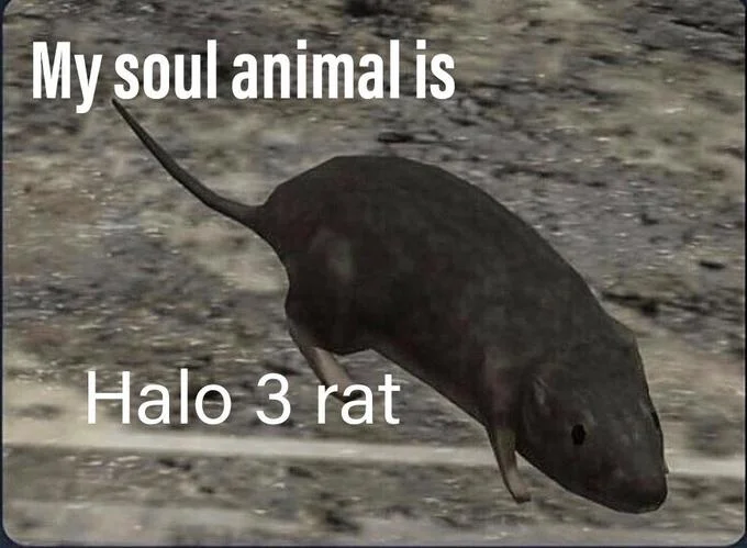 A meme pairing the Halo 3 rat with the 'My soul animal is' format for humorous effect.