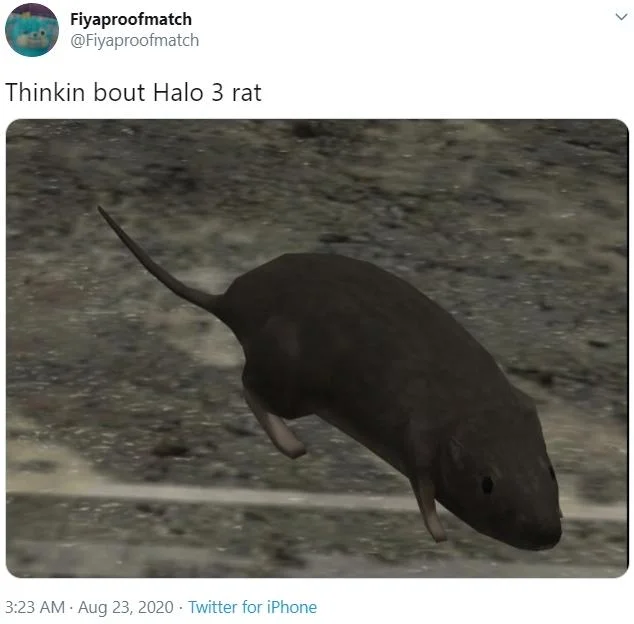 A popular Twitter variation of the Halo 3 Rat meme with the caption 'Thinkin bout Halo 3 rat.'