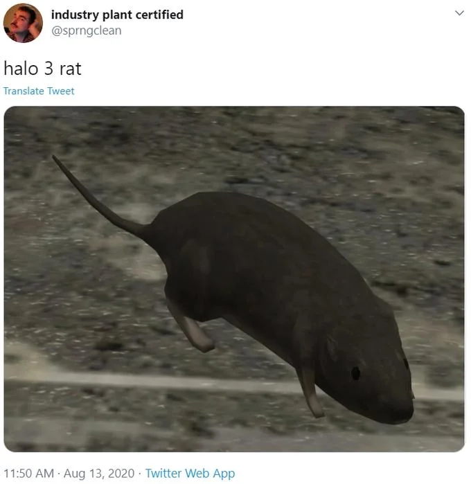 A screenshot of the influential Twitter post from @sprgclean with the simple caption 'halo 3 rat' accompanying the game screenshot.