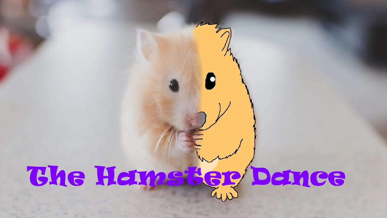 A split-screen composite showing a real hamster on the left with a cartoon hamster drawing on the right, labeled 'the Hampster Dance'.