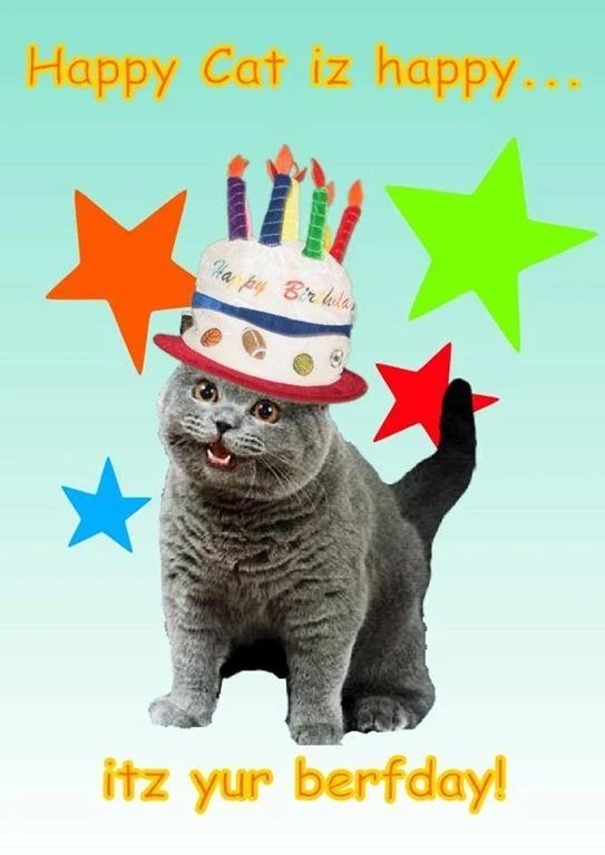 Happy Cat / I Can Has Cheezburger — Happy Cat with birthday party hat and stars, birthday greeting text
