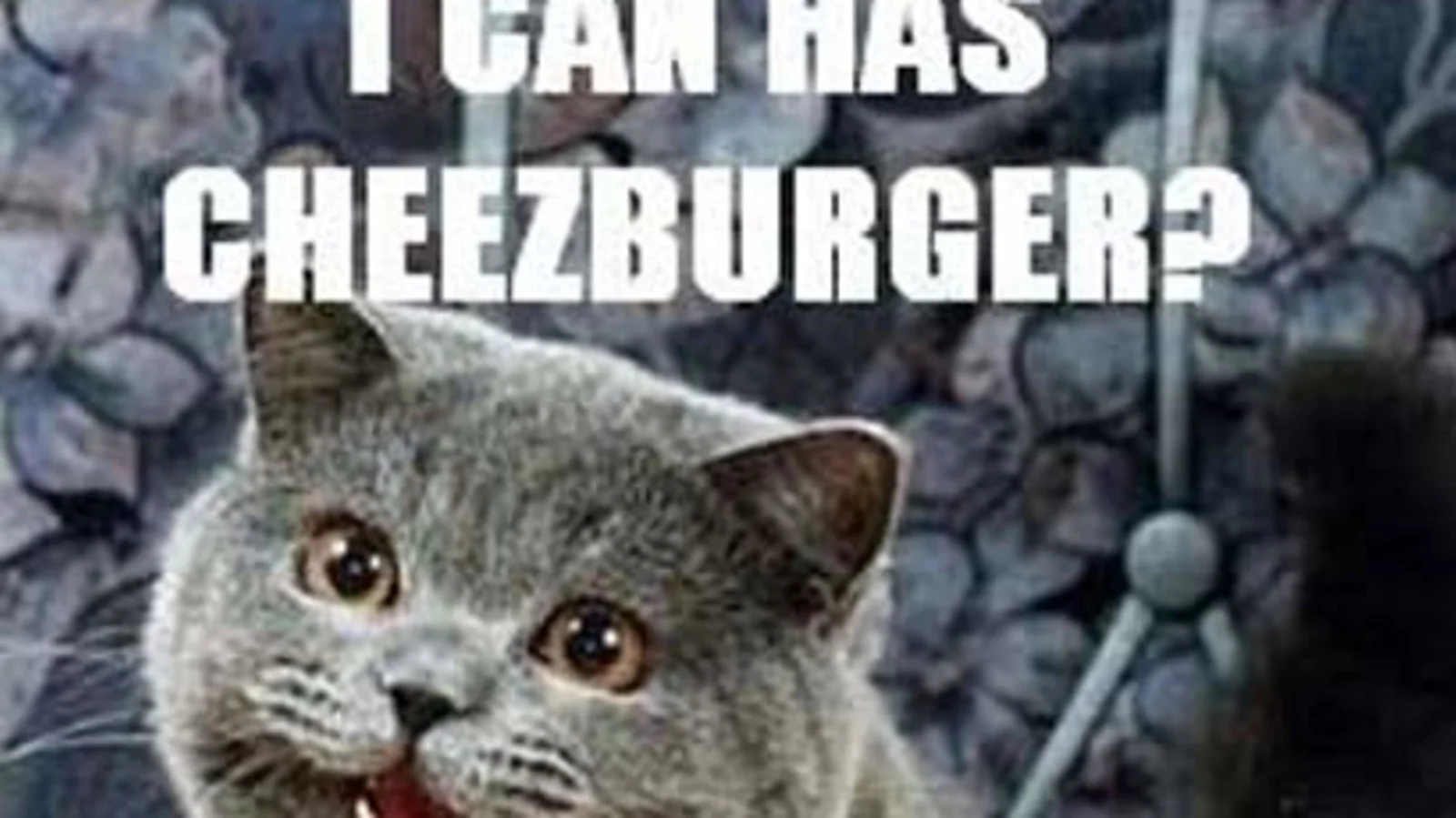 Happy Cat / I Can Has Cheezburger — Gray tabby cat asking I CAN HAS CHEEZBURGER in white text