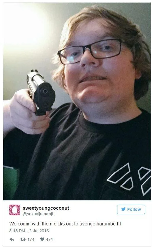 A selfie-style Twitter post of a person holding a handgun with caption about avenging Harambe.