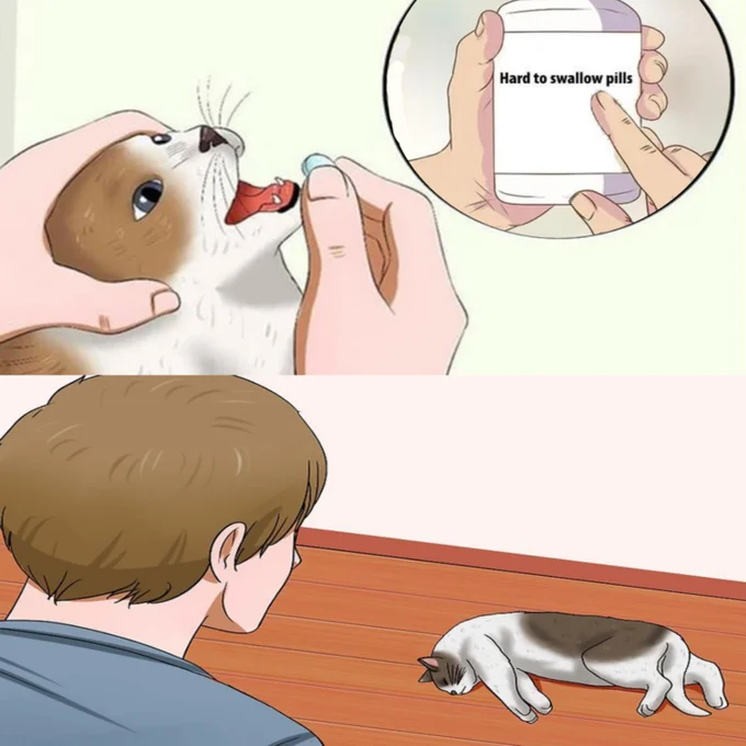 Hard Pill to Swallow — Creative parody of Hard to Swallow Pills featuring a cartoon cat attempting to swallow a red object in circular inset with person and