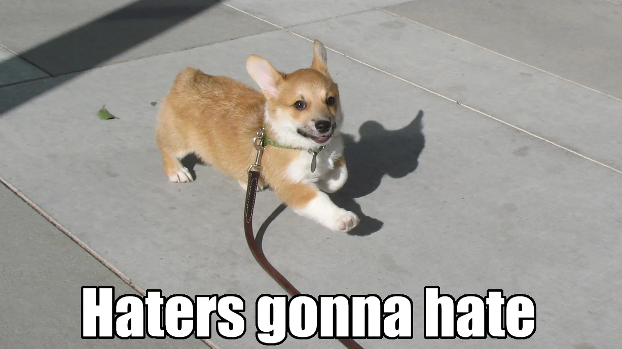 Corgi puppy walking on sidewalk with 'Haters gonna hate' caption