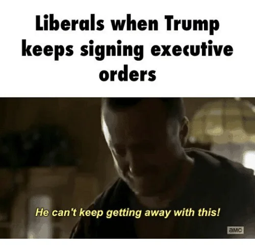 He Can't Keep Getting Away With It — Meme mocking liberals' reaction to Trump's executive orders using the Jesse Pinkman scene.