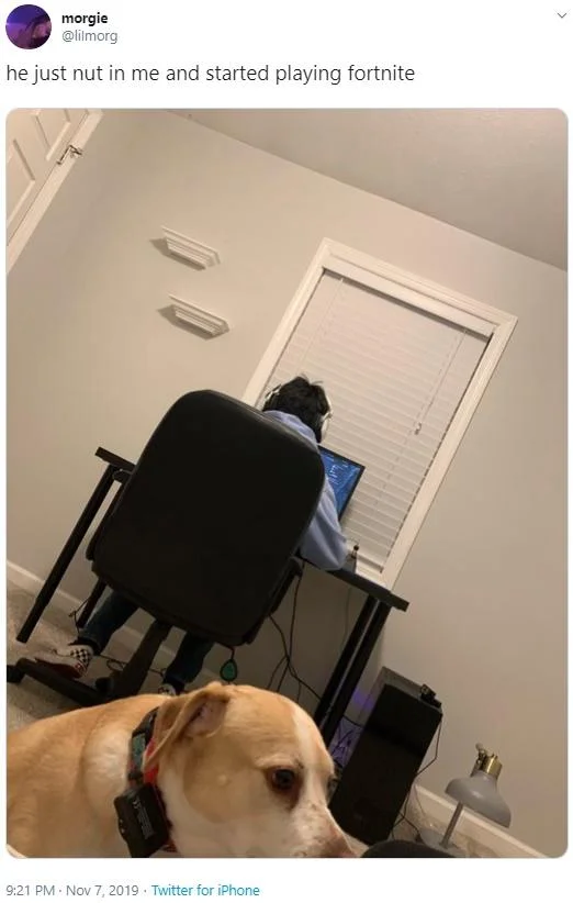 He Literally Just Nutted in Me — Twitter post about playing Fortnite with photo of gamer at laptop and dog in foreground