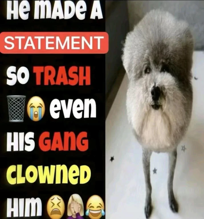 He Made A Statement So Trash Even His Gang Clowned Him — A "meme":https://knowyourmeme.com/memes/memes from a
