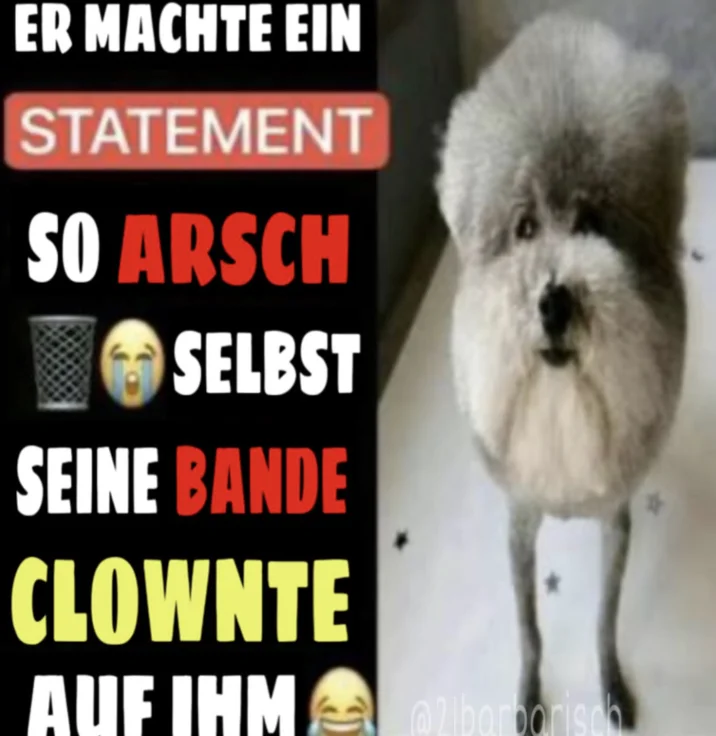 He Made A Statement So Trash Even His Gang Clowned Him — A "meme":https://knowyourmeme.com/memes/memes showing a poodle