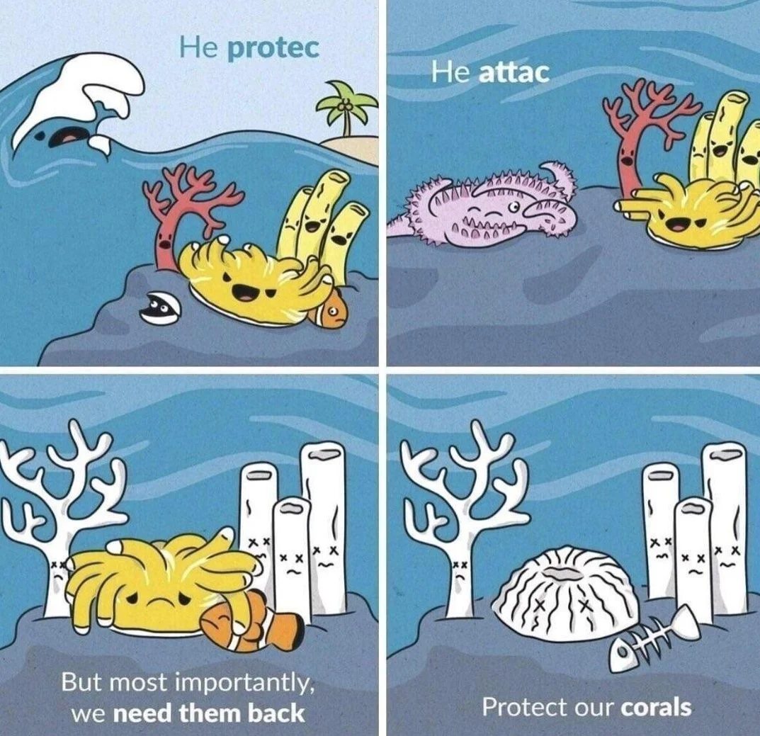 He Protec but He Also Attac — Coral reef environmental awareness 'He protec He attac' meme