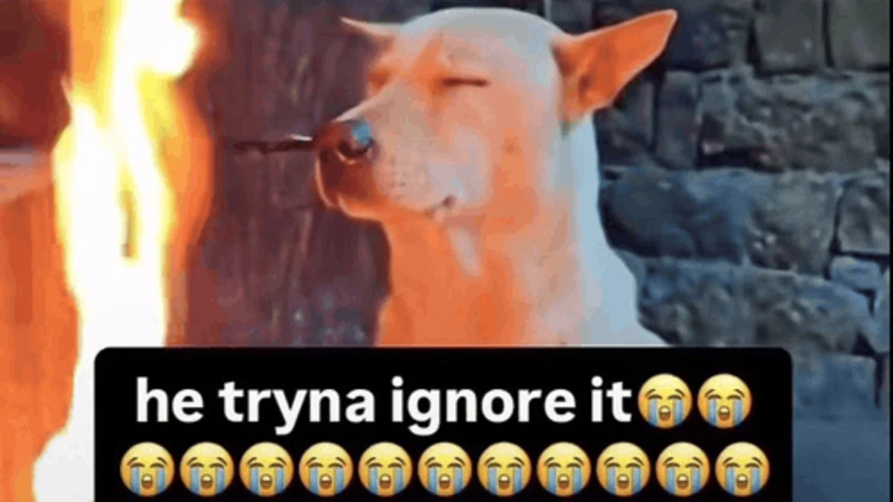 He Tryna Ignore It