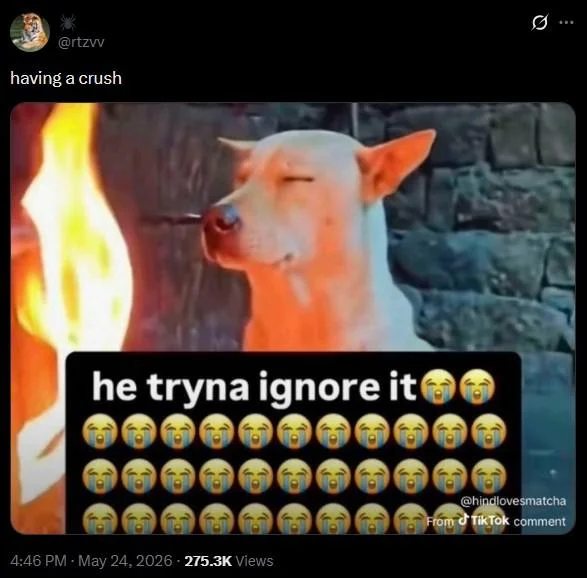 TikTok screenshot of LeBron James and Jimmy Goldstein courtside with 'he tryna ignore it' comment