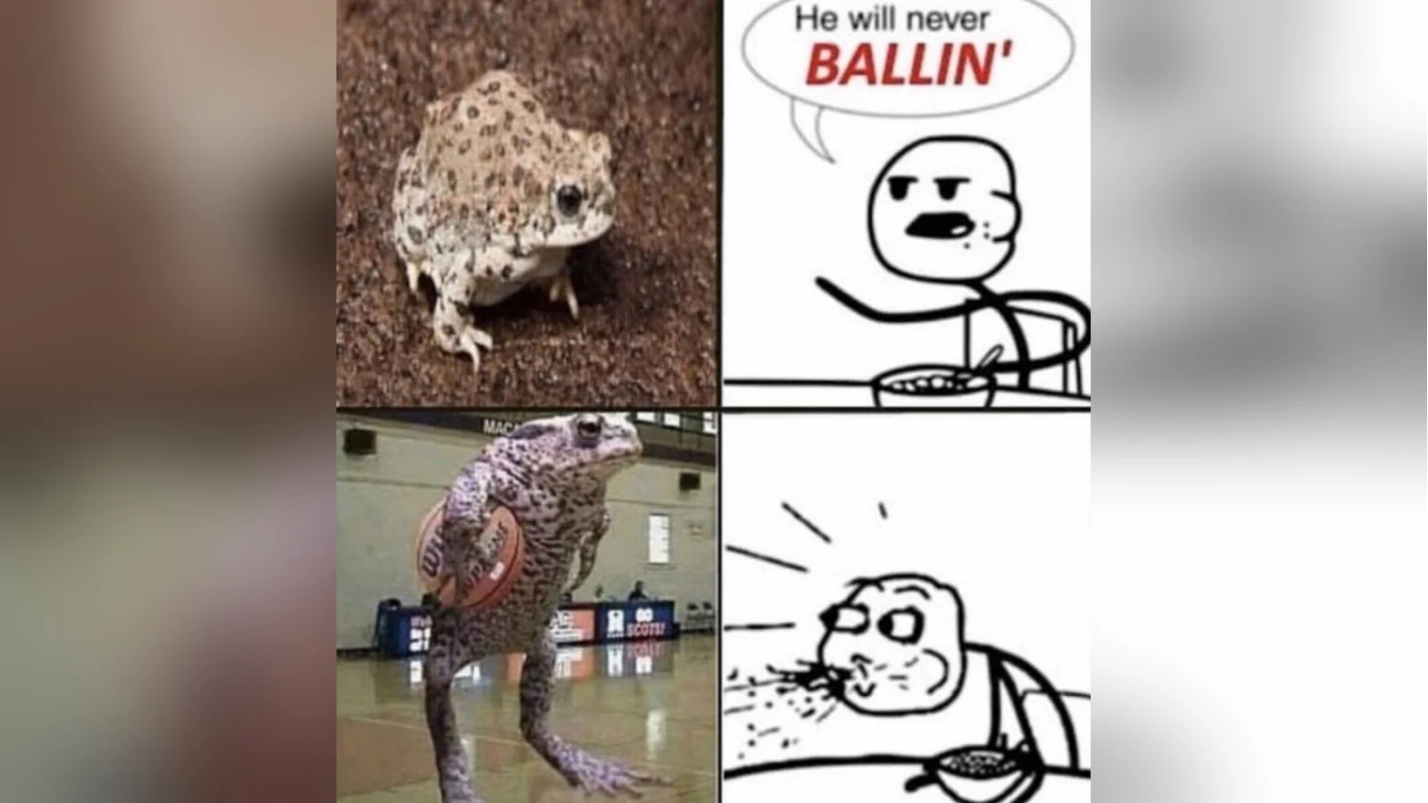 He Will Never Be Ballin' — Four-panel Cereal Guy meme with a desert rain frog holding a basketball