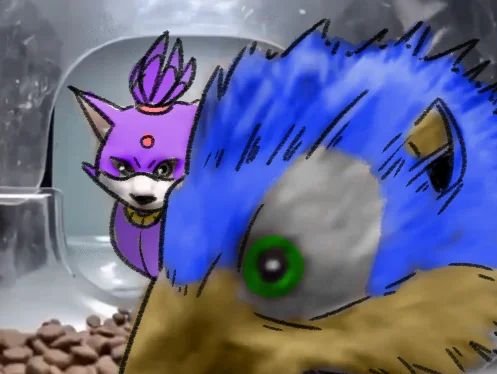 Hedgehog Eating Cat Food