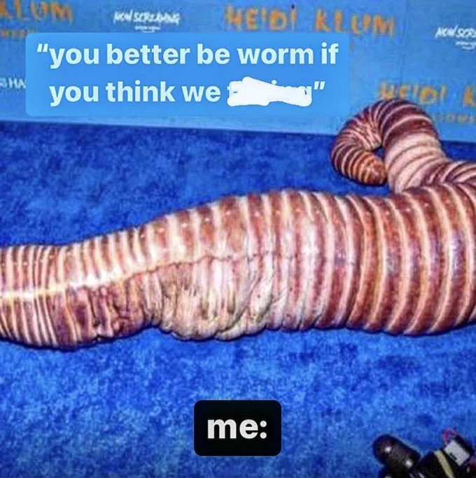 Heidi Klum's Worm Costume — Worm costume meme with text 'you better be worm if you think we fucking'