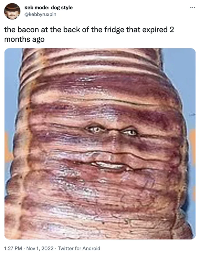 Heidi Klum's Worm Costume — Tweet comparing worm costume to expired bacon with close-up of worm face