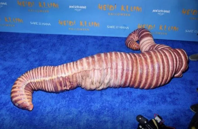 Heidi Klum's worm costume lying on the red carpet in front of event backdrop