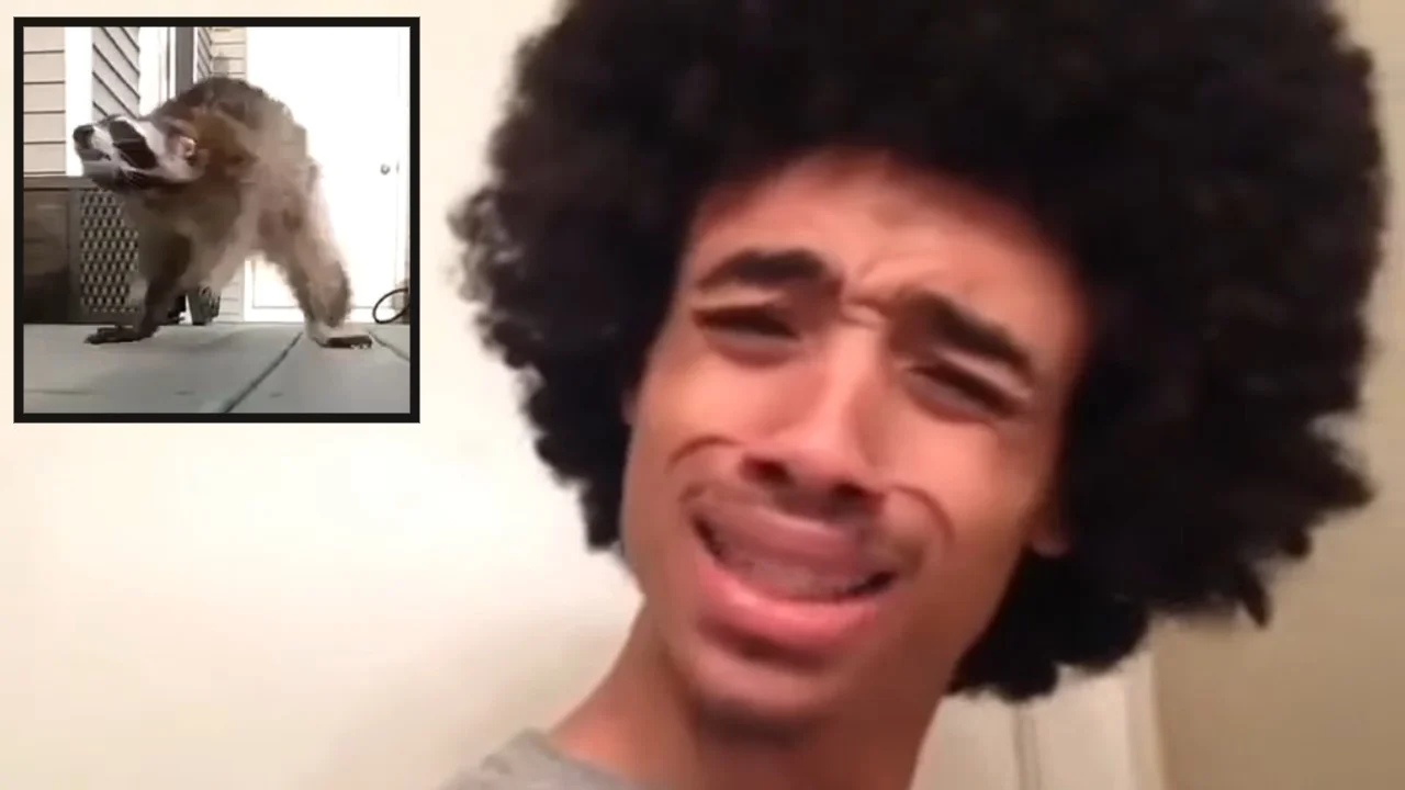 Hell Nah Cuh — Young man with afro making a disgusted reaction face next to inset of a raccoon on a porch