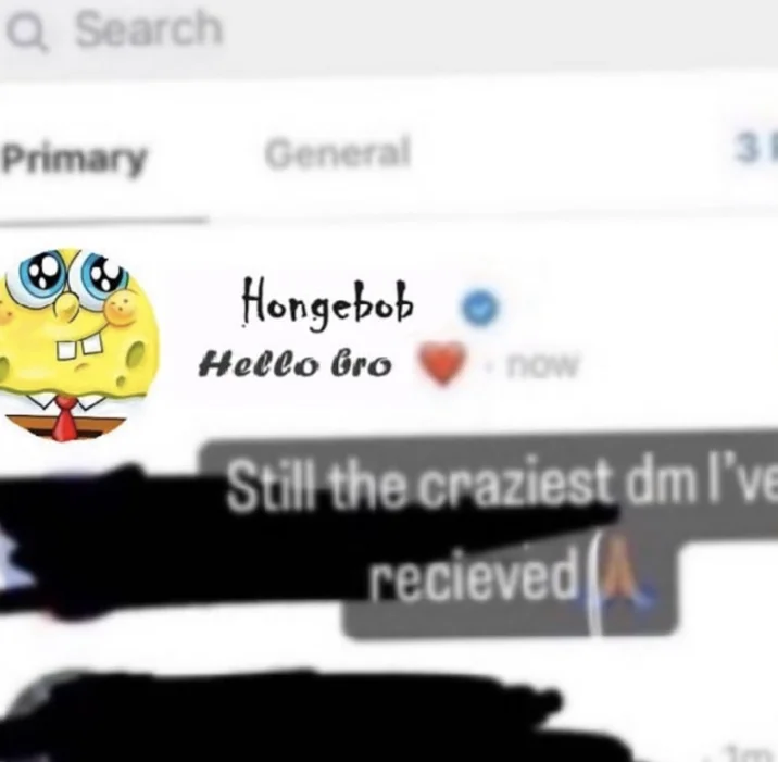 Hello Bro Hello Vro — Instagram DM from Hongebob account reading 'Hello bro' with red heart