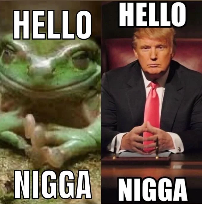 Side-by-side frog and Donald Trump meme labeled 'Hello Nigga'.