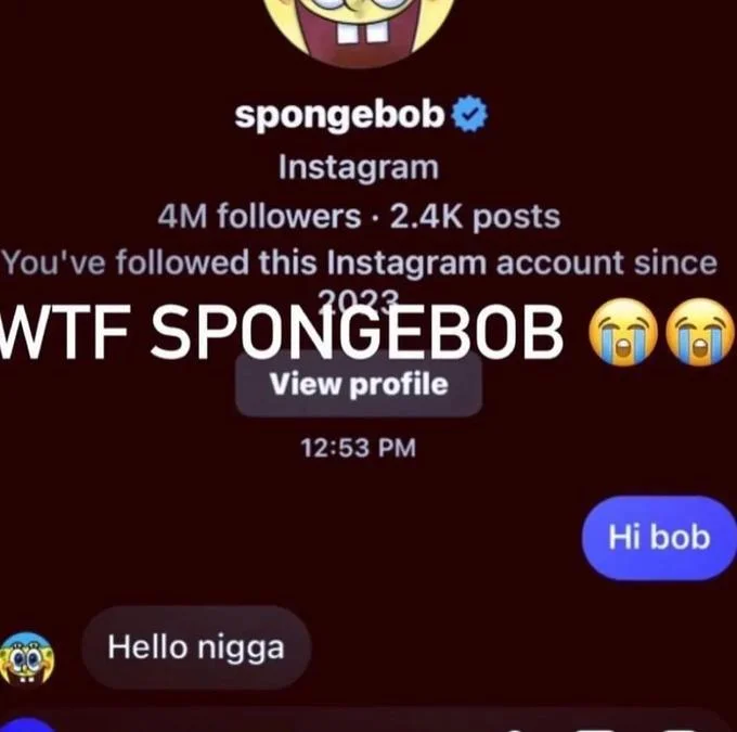 Fake Instagram DM screenshot of SpongeBob replying 'Hello nigga'.