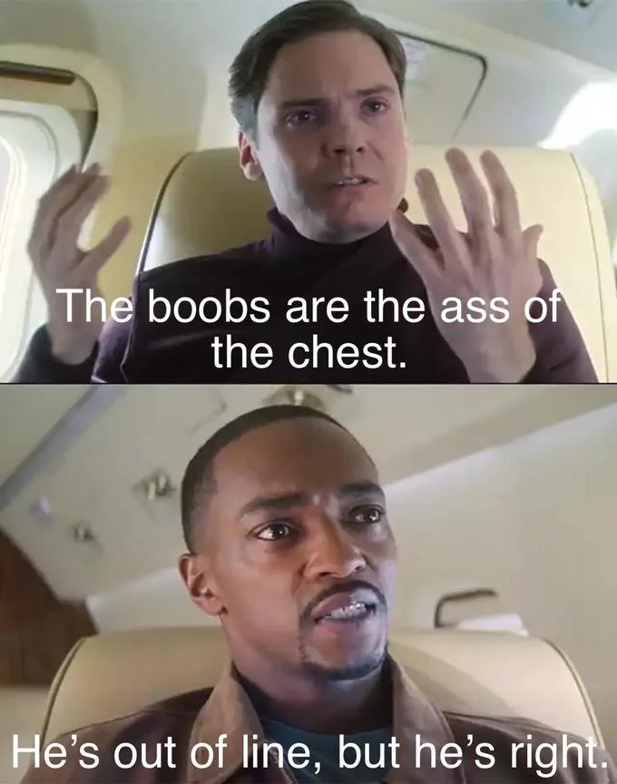 Hes Out Of Line But Hes Right — Zemo's anatomy joke followed by Sam Wilson's reluctant agreement