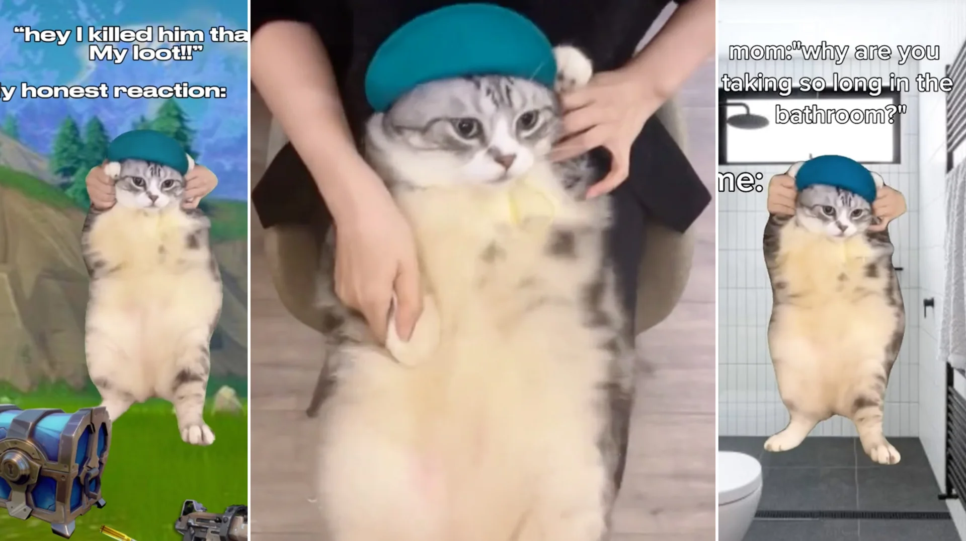 "Hey Hey You You" Cat Dancing — Three-panel collage of a grey tabby cat in a teal beanie held upright to look like it is dancing, with meme captions over