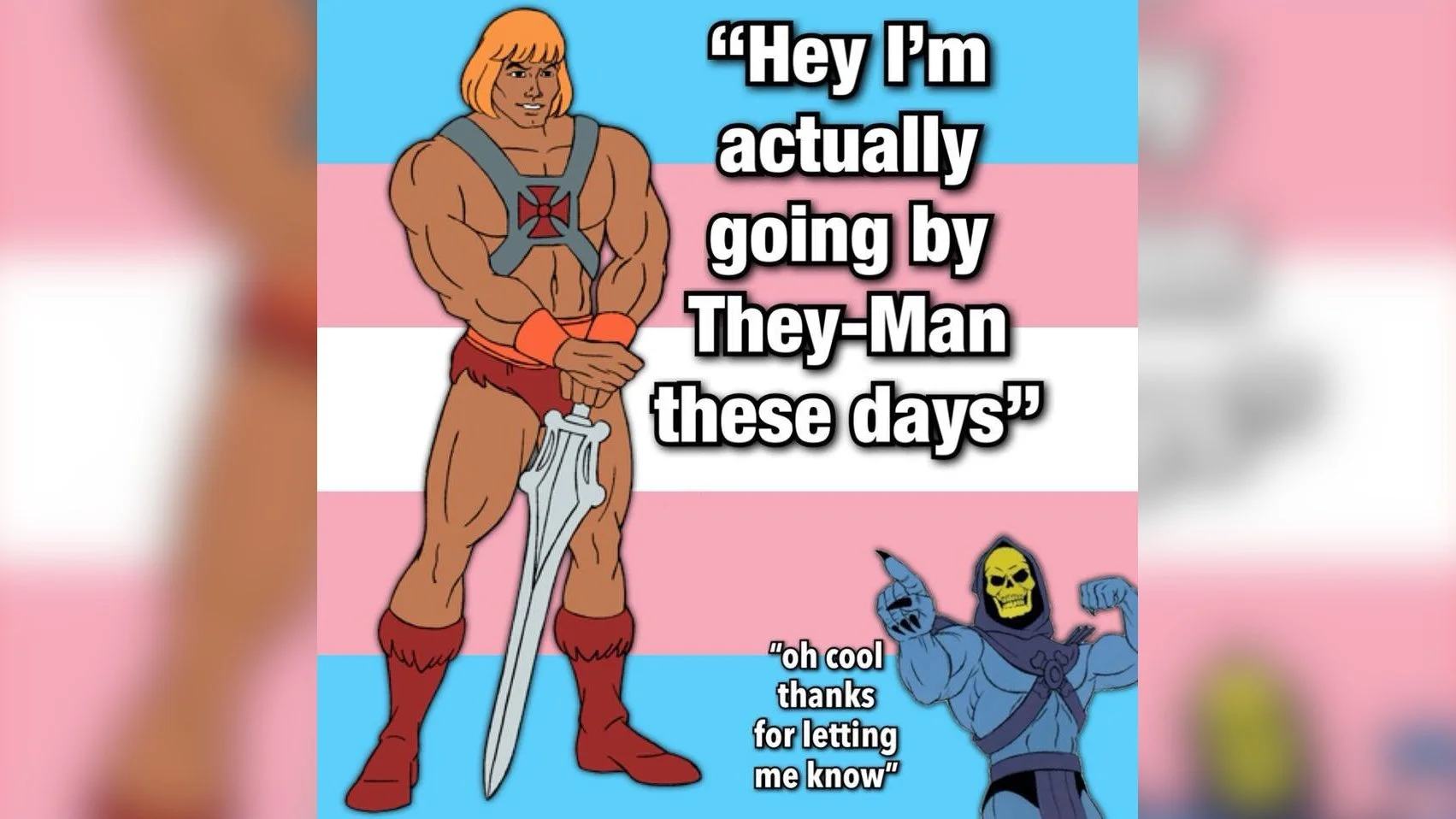 Hey, I'm Actually Going By They-Man These Days — He-Man and Skeletor on a trans flag with the They-Man punning dialogue overlay.