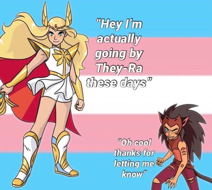 Hey, I'm Actually Going By They-Man These Days — She-Ra and Catra on trans flag with They-Ra dialogue.