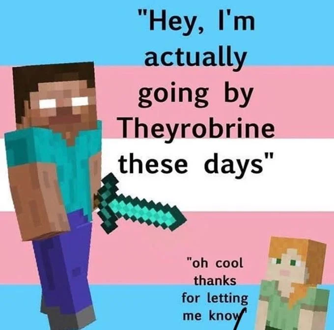 Hey, I'm Actually Going By They-Man These Days — Minecraft Herobrine and Alex on a trans flag with Theyrobrine dialogue.