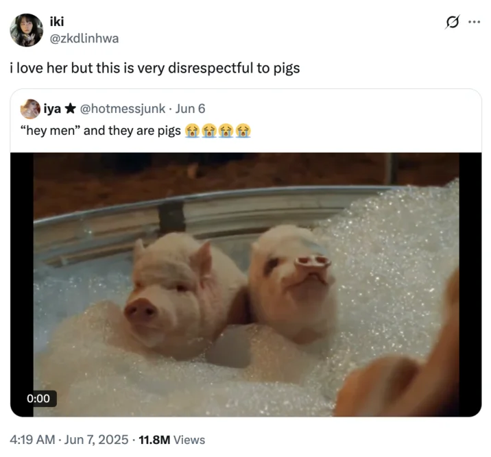 Hey Men And They Are Pigs — A "quote-tweet":https://knowyourmeme.com/memes/quote-retweets-qrts of the original "Hey Men" and They Are Pigs
