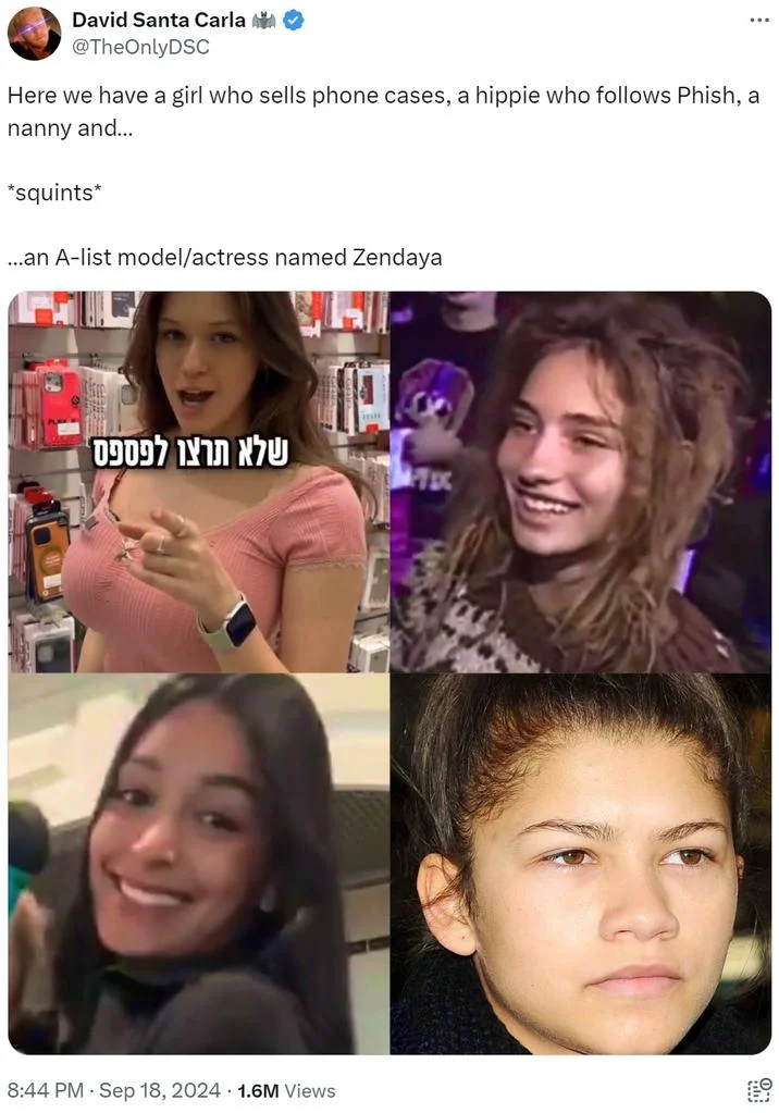 Hippie Chick Interviewed at a Phish Show — Tweet joking that four different women, including the 1996 Phish interviewee, are all Zendaya.